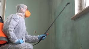 Best Mold Prevention Services  in Fishersville, VA